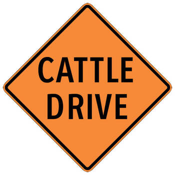 cattle drive