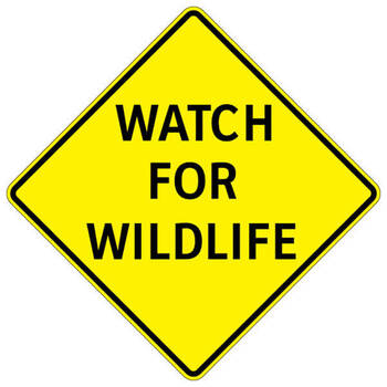 watch for wildlife