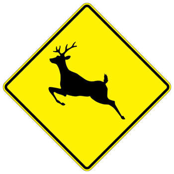 deer