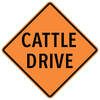 cattle drive