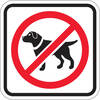 no dogs allowed