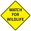 watch for wildlife
