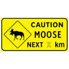 caution moose next ( x ) km