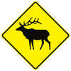 elk