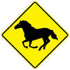 horses